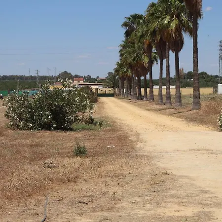 Campsite Alegre Camping Utrera